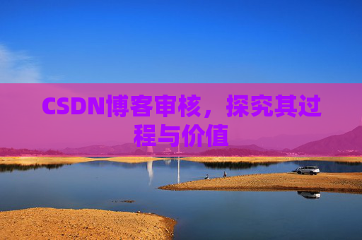 CSDN博客审核,探究其过程与价值
